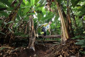 BIB: 
                            <button type="button" onclick="openModal(22416029)" class="btn btn-primary btn-sm float-right btn-popup" data-toggle="modal" data-target=".modal-high-quality">
                        <i class="fas fa-shopping-cart"></i> Add to Cart
                    </button>
                                            <button type="button" onclick="isThisMe(22416029, true)" class="btn btn-success btn-sm float-right btn-popup btn-isme hidden" data-toggle="tooltip" data-placement="bottom" title="นี่คือรูปของคุณใช่ไหม คลิกที่นี่เพื่อเอาเข้าอัลบั้ม">
                        <i class="fas fa-plus"></i> Add to album
                    </button>
                    <button type="button" onclick="isThisMe(22416029, false)" class="btn btn-warning btn-sm float-right btn-popup btn-isnotme hidden">
                        <i class="fas fa-ban"></i> Remove from album
                    </button>