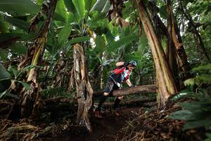 BIB: 
                            <button type="button" onclick="openModal(22418937)" class="btn btn-primary btn-sm float-right btn-popup" data-toggle="modal" data-target=".modal-high-quality">
                        <i class="fas fa-shopping-cart"></i> Add to Cart
                    </button>
                                            <button type="button" onclick="isThisMe(22418937, true)" class="btn btn-success btn-sm float-right btn-popup btn-isme hidden" data-toggle="tooltip" data-placement="bottom" title="นี่คือรูปของคุณใช่ไหม คลิกที่นี่เพื่อเอาเข้าอัลบั้ม">
                        <i class="fas fa-plus"></i> Add to album
                    </button>
                    <button type="button" onclick="isThisMe(22418937, false)" class="btn btn-warning btn-sm float-right btn-popup btn-isnotme hidden">
                        <i class="fas fa-ban"></i> Remove from album
                    </button>