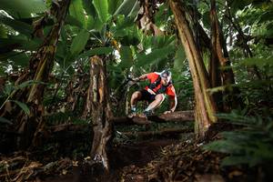 BIB: 
                            <button type="button" onclick="openModal(22394016)" class="btn btn-primary btn-sm float-right btn-popup" data-toggle="modal" data-target=".modal-high-quality">
                        <i class="fas fa-shopping-cart"></i> Add to Cart
                    </button>
                                            <button type="button" onclick="isThisMe(22394016, true)" class="btn btn-success btn-sm float-right btn-popup btn-isme hidden" data-toggle="tooltip" data-placement="bottom" title="นี่คือรูปของคุณใช่ไหม คลิกที่นี่เพื่อเอาเข้าอัลบั้ม">
                        <i class="fas fa-plus"></i> Add to album
                    </button>
                    <button type="button" onclick="isThisMe(22394016, false)" class="btn btn-warning btn-sm float-right btn-popup btn-isnotme hidden">
                        <i class="fas fa-ban"></i> Remove from album
                    </button>