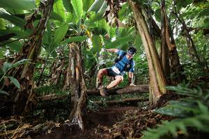 BIB: 
                            <button type="button" onclick="openModal(22393254)" class="btn btn-primary btn-sm float-right btn-popup" data-toggle="modal" data-target=".modal-high-quality">
                        <i class="fas fa-shopping-cart"></i> Add to Cart
                    </button>
                                            <button type="button" onclick="isThisMe(22393254, true)" class="btn btn-success btn-sm float-right btn-popup btn-isme hidden" data-toggle="tooltip" data-placement="bottom" title="นี่คือรูปของคุณใช่ไหม คลิกที่นี่เพื่อเอาเข้าอัลบั้ม">
                        <i class="fas fa-plus"></i> Add to album
                    </button>
                    <button type="button" onclick="isThisMe(22393254, false)" class="btn btn-warning btn-sm float-right btn-popup btn-isnotme hidden">
                        <i class="fas fa-ban"></i> Remove from album
                    </button>