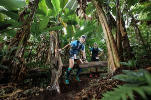 BIB: 
                            <button type="button" onclick="openModal(22393238)" class="btn btn-primary btn-sm float-right btn-popup" data-toggle="modal" data-target=".modal-high-quality">
                        <i class="fas fa-shopping-cart"></i> Add to Cart
                    </button>
                                            <button type="button" onclick="isThisMe(22393238, true)" class="btn btn-success btn-sm float-right btn-popup btn-isme hidden" data-toggle="tooltip" data-placement="bottom" title="นี่คือรูปของคุณใช่ไหม คลิกที่นี่เพื่อเอาเข้าอัลบั้ม">
                        <i class="fas fa-plus"></i> Add to album
                    </button>
                    <button type="button" onclick="isThisMe(22393238, false)" class="btn btn-warning btn-sm float-right btn-popup btn-isnotme hidden">
                        <i class="fas fa-ban"></i> Remove from album
                    </button>