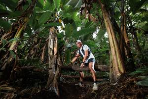 BIB: 
                            <button type="button" onclick="openModal(22418364)" class="btn btn-primary btn-sm float-right btn-popup" data-toggle="modal" data-target=".modal-high-quality">
                        <i class="fas fa-shopping-cart"></i> Add to Cart
                    </button>
                                            <button type="button" onclick="isThisMe(22418364, true)" class="btn btn-success btn-sm float-right btn-popup btn-isme hidden" data-toggle="tooltip" data-placement="bottom" title="นี่คือรูปของคุณใช่ไหม คลิกที่นี่เพื่อเอาเข้าอัลบั้ม">
                        <i class="fas fa-plus"></i> Add to album
                    </button>
                    <button type="button" onclick="isThisMe(22418364, false)" class="btn btn-warning btn-sm float-right btn-popup btn-isnotme hidden">
                        <i class="fas fa-ban"></i> Remove from album
                    </button>