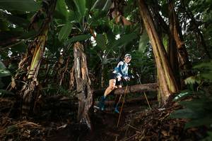 BIB: 
                            <button type="button" onclick="openModal(22422419)" class="btn btn-primary btn-sm float-right btn-popup" data-toggle="modal" data-target=".modal-high-quality">
                        <i class="fas fa-shopping-cart"></i> Add to Cart
                    </button>
                                            <button type="button" onclick="isThisMe(22422419, true)" class="btn btn-success btn-sm float-right btn-popup btn-isme hidden" data-toggle="tooltip" data-placement="bottom" title="นี่คือรูปของคุณใช่ไหม คลิกที่นี่เพื่อเอาเข้าอัลบั้ม">
                        <i class="fas fa-plus"></i> Add to album
                    </button>
                    <button type="button" onclick="isThisMe(22422419, false)" class="btn btn-warning btn-sm float-right btn-popup btn-isnotme hidden">
                        <i class="fas fa-ban"></i> Remove from album
                    </button>