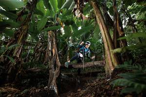 BIB: 
                            <button type="button" onclick="openModal(22403231)" class="btn btn-primary btn-sm float-right btn-popup" data-toggle="modal" data-target=".modal-high-quality">
                        <i class="fas fa-shopping-cart"></i> Add to Cart
                    </button>
                                            <button type="button" onclick="isThisMe(22403231, true)" class="btn btn-success btn-sm float-right btn-popup btn-isme hidden" data-toggle="tooltip" data-placement="bottom" title="นี่คือรูปของคุณใช่ไหม คลิกที่นี่เพื่อเอาเข้าอัลบั้ม">
                        <i class="fas fa-plus"></i> Add to album
                    </button>
                    <button type="button" onclick="isThisMe(22403231, false)" class="btn btn-warning btn-sm float-right btn-popup btn-isnotme hidden">
                        <i class="fas fa-ban"></i> Remove from album
                    </button>