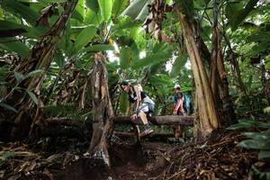 BIB: 
                            <button type="button" onclick="openModal(22416430)" class="btn btn-primary btn-sm float-right btn-popup" data-toggle="modal" data-target=".modal-high-quality">
                        <i class="fas fa-shopping-cart"></i> Add to Cart
                    </button>
                                            <button type="button" onclick="isThisMe(22416430, true)" class="btn btn-success btn-sm float-right btn-popup btn-isme hidden" data-toggle="tooltip" data-placement="bottom" title="นี่คือรูปของคุณใช่ไหม คลิกที่นี่เพื่อเอาเข้าอัลบั้ม">
                        <i class="fas fa-plus"></i> Add to album
                    </button>
                    <button type="button" onclick="isThisMe(22416430, false)" class="btn btn-warning btn-sm float-right btn-popup btn-isnotme hidden">
                        <i class="fas fa-ban"></i> Remove from album
                    </button>