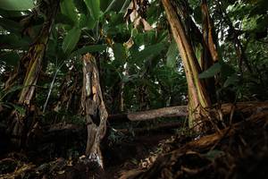 BIB: 
                            <button type="button" onclick="openModal(22392574)" class="btn btn-primary btn-sm float-right btn-popup" data-toggle="modal" data-target=".modal-high-quality">
                        <i class="fas fa-shopping-cart"></i> Add to Cart
                    </button>
                                            <button type="button" onclick="isThisMe(22392574, true)" class="btn btn-success btn-sm float-right btn-popup btn-isme hidden" data-toggle="tooltip" data-placement="bottom" title="นี่คือรูปของคุณใช่ไหม คลิกที่นี่เพื่อเอาเข้าอัลบั้ม">
                        <i class="fas fa-plus"></i> Add to album
                    </button>
                    <button type="button" onclick="isThisMe(22392574, false)" class="btn btn-warning btn-sm float-right btn-popup btn-isnotme hidden">
                        <i class="fas fa-ban"></i> Remove from album
                    </button>