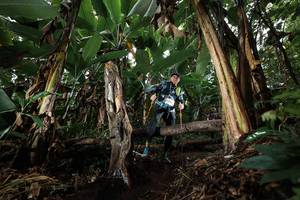 BIB: 
                            <button type="button" onclick="openModal(22420056)" class="btn btn-primary btn-sm float-right btn-popup" data-toggle="modal" data-target=".modal-high-quality">
                        <i class="fas fa-shopping-cart"></i> Add to Cart
                    </button>
                                            <button type="button" onclick="isThisMe(22420056, true)" class="btn btn-success btn-sm float-right btn-popup btn-isme hidden" data-toggle="tooltip" data-placement="bottom" title="นี่คือรูปของคุณใช่ไหม คลิกที่นี่เพื่อเอาเข้าอัลบั้ม">
                        <i class="fas fa-plus"></i> Add to album
                    </button>
                    <button type="button" onclick="isThisMe(22420056, false)" class="btn btn-warning btn-sm float-right btn-popup btn-isnotme hidden">
                        <i class="fas fa-ban"></i> Remove from album
                    </button>