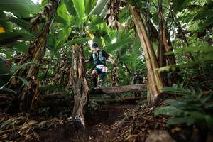 BIB: 
                            <button type="button" onclick="openModal(22398789)" class="btn btn-primary btn-sm float-right btn-popup" data-toggle="modal" data-target=".modal-high-quality">
                        <i class="fas fa-shopping-cart"></i> Add to Cart
                    </button>
                                            <button type="button" onclick="isThisMe(22398789, true)" class="btn btn-success btn-sm float-right btn-popup btn-isme hidden" data-toggle="tooltip" data-placement="bottom" title="นี่คือรูปของคุณใช่ไหม คลิกที่นี่เพื่อเอาเข้าอัลบั้ม">
                        <i class="fas fa-plus"></i> Add to album
                    </button>
                    <button type="button" onclick="isThisMe(22398789, false)" class="btn btn-warning btn-sm float-right btn-popup btn-isnotme hidden">
                        <i class="fas fa-ban"></i> Remove from album
                    </button>