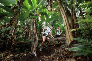 BIB: 
                            <button type="button" onclick="openModal(22397793)" class="btn btn-primary btn-sm float-right btn-popup" data-toggle="modal" data-target=".modal-high-quality">
                        <i class="fas fa-shopping-cart"></i> Add to Cart
                    </button>
                                            <button type="button" onclick="isThisMe(22397793, true)" class="btn btn-success btn-sm float-right btn-popup btn-isme hidden" data-toggle="tooltip" data-placement="bottom" title="นี่คือรูปของคุณใช่ไหม คลิกที่นี่เพื่อเอาเข้าอัลบั้ม">
                        <i class="fas fa-plus"></i> Add to album
                    </button>
                    <button type="button" onclick="isThisMe(22397793, false)" class="btn btn-warning btn-sm float-right btn-popup btn-isnotme hidden">
                        <i class="fas fa-ban"></i> Remove from album
                    </button>