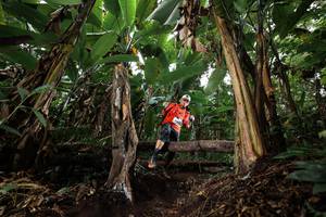 BIB: 
                            <button type="button" onclick="openModal(22418147)" class="btn btn-primary btn-sm float-right btn-popup" data-toggle="modal" data-target=".modal-high-quality">
                        <i class="fas fa-shopping-cart"></i> Add to Cart
                    </button>
                                            <button type="button" onclick="isThisMe(22418147, true)" class="btn btn-success btn-sm float-right btn-popup btn-isme hidden" data-toggle="tooltip" data-placement="bottom" title="นี่คือรูปของคุณใช่ไหม คลิกที่นี่เพื่อเอาเข้าอัลบั้ม">
                        <i class="fas fa-plus"></i> Add to album
                    </button>
                    <button type="button" onclick="isThisMe(22418147, false)" class="btn btn-warning btn-sm float-right btn-popup btn-isnotme hidden">
                        <i class="fas fa-ban"></i> Remove from album
                    </button>