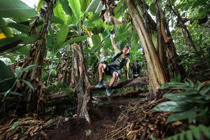 BIB: 
                            <button type="button" onclick="openModal(22415210)" class="btn btn-primary btn-sm float-right btn-popup" data-toggle="modal" data-target=".modal-high-quality">
                        <i class="fas fa-shopping-cart"></i> Add to Cart
                    </button>
                                            <button type="button" onclick="isThisMe(22415210, true)" class="btn btn-success btn-sm float-right btn-popup btn-isme hidden" data-toggle="tooltip" data-placement="bottom" title="นี่คือรูปของคุณใช่ไหม คลิกที่นี่เพื่อเอาเข้าอัลบั้ม">
                        <i class="fas fa-plus"></i> Add to album
                    </button>
                    <button type="button" onclick="isThisMe(22415210, false)" class="btn btn-warning btn-sm float-right btn-popup btn-isnotme hidden">
                        <i class="fas fa-ban"></i> Remove from album
                    </button>