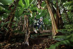 BIB: 
                            <button type="button" onclick="openModal(22393699)" class="btn btn-primary btn-sm float-right btn-popup" data-toggle="modal" data-target=".modal-high-quality">
                        <i class="fas fa-shopping-cart"></i> Add to Cart
                    </button>
                                            <button type="button" onclick="isThisMe(22393699, true)" class="btn btn-success btn-sm float-right btn-popup btn-isme hidden" data-toggle="tooltip" data-placement="bottom" title="นี่คือรูปของคุณใช่ไหม คลิกที่นี่เพื่อเอาเข้าอัลบั้ม">
                        <i class="fas fa-plus"></i> Add to album
                    </button>
                    <button type="button" onclick="isThisMe(22393699, false)" class="btn btn-warning btn-sm float-right btn-popup btn-isnotme hidden">
                        <i class="fas fa-ban"></i> Remove from album
                    </button>