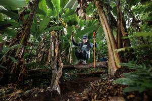 BIB: 
                            <button type="button" onclick="openModal(22394181)" class="btn btn-primary btn-sm float-right btn-popup" data-toggle="modal" data-target=".modal-high-quality">
                        <i class="fas fa-shopping-cart"></i> Add to Cart
                    </button>
                                            <button type="button" onclick="isThisMe(22394181, true)" class="btn btn-success btn-sm float-right btn-popup btn-isme hidden" data-toggle="tooltip" data-placement="bottom" title="นี่คือรูปของคุณใช่ไหม คลิกที่นี่เพื่อเอาเข้าอัลบั้ม">
                        <i class="fas fa-plus"></i> Add to album
                    </button>
                    <button type="button" onclick="isThisMe(22394181, false)" class="btn btn-warning btn-sm float-right btn-popup btn-isnotme hidden">
                        <i class="fas fa-ban"></i> Remove from album
                    </button>