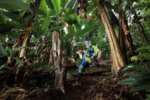 BIB: 
                            <button type="button" onclick="openModal(22418861)" class="btn btn-primary btn-sm float-right btn-popup" data-toggle="modal" data-target=".modal-high-quality">
                        <i class="fas fa-shopping-cart"></i> Add to Cart
                    </button>
                                            <button type="button" onclick="isThisMe(22418861, true)" class="btn btn-success btn-sm float-right btn-popup btn-isme hidden" data-toggle="tooltip" data-placement="bottom" title="นี่คือรูปของคุณใช่ไหม คลิกที่นี่เพื่อเอาเข้าอัลบั้ม">
                        <i class="fas fa-plus"></i> Add to album
                    </button>
                    <button type="button" onclick="isThisMe(22418861, false)" class="btn btn-warning btn-sm float-right btn-popup btn-isnotme hidden">
                        <i class="fas fa-ban"></i> Remove from album
                    </button>