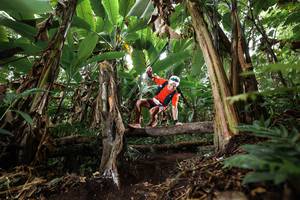 BIB: 
                            <button type="button" onclick="openModal(22397913)" class="btn btn-primary btn-sm float-right btn-popup" data-toggle="modal" data-target=".modal-high-quality">
                        <i class="fas fa-shopping-cart"></i> Add to Cart
                    </button>
                                            <button type="button" onclick="isThisMe(22397913, true)" class="btn btn-success btn-sm float-right btn-popup btn-isme hidden" data-toggle="tooltip" data-placement="bottom" title="นี่คือรูปของคุณใช่ไหม คลิกที่นี่เพื่อเอาเข้าอัลบั้ม">
                        <i class="fas fa-plus"></i> Add to album
                    </button>
                    <button type="button" onclick="isThisMe(22397913, false)" class="btn btn-warning btn-sm float-right btn-popup btn-isnotme hidden">
                        <i class="fas fa-ban"></i> Remove from album
                    </button>