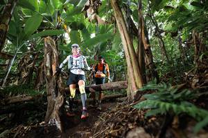 BIB: 
                            <button type="button" onclick="openModal(22414788)" class="btn btn-primary btn-sm float-right btn-popup" data-toggle="modal" data-target=".modal-high-quality">
                        <i class="fas fa-shopping-cart"></i> Add to Cart
                    </button>
                                            <button type="button" onclick="isThisMe(22414788, true)" class="btn btn-success btn-sm float-right btn-popup btn-isme hidden" data-toggle="tooltip" data-placement="bottom" title="นี่คือรูปของคุณใช่ไหม คลิกที่นี่เพื่อเอาเข้าอัลบั้ม">
                        <i class="fas fa-plus"></i> Add to album
                    </button>
                    <button type="button" onclick="isThisMe(22414788, false)" class="btn btn-warning btn-sm float-right btn-popup btn-isnotme hidden">
                        <i class="fas fa-ban"></i> Remove from album
                    </button>