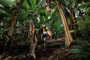 BIB: 
                            <button type="button" onclick="openModal(22399118)" class="btn btn-primary btn-sm float-right btn-popup" data-toggle="modal" data-target=".modal-high-quality">
                        <i class="fas fa-shopping-cart"></i> Add to Cart
                    </button>
                                            <button type="button" onclick="isThisMe(22399118, true)" class="btn btn-success btn-sm float-right btn-popup btn-isme hidden" data-toggle="tooltip" data-placement="bottom" title="นี่คือรูปของคุณใช่ไหม คลิกที่นี่เพื่อเอาเข้าอัลบั้ม">
                        <i class="fas fa-plus"></i> Add to album
                    </button>
                    <button type="button" onclick="isThisMe(22399118, false)" class="btn btn-warning btn-sm float-right btn-popup btn-isnotme hidden">
                        <i class="fas fa-ban"></i> Remove from album
                    </button>