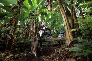 BIB: 
                            <button type="button" onclick="openModal(22398563)" class="btn btn-primary btn-sm float-right btn-popup" data-toggle="modal" data-target=".modal-high-quality">
                        <i class="fas fa-shopping-cart"></i> Add to Cart
                    </button>
                                            <button type="button" onclick="isThisMe(22398563, true)" class="btn btn-success btn-sm float-right btn-popup btn-isme hidden" data-toggle="tooltip" data-placement="bottom" title="นี่คือรูปของคุณใช่ไหม คลิกที่นี่เพื่อเอาเข้าอัลบั้ม">
                        <i class="fas fa-plus"></i> Add to album
                    </button>
                    <button type="button" onclick="isThisMe(22398563, false)" class="btn btn-warning btn-sm float-right btn-popup btn-isnotme hidden">
                        <i class="fas fa-ban"></i> Remove from album
                    </button>