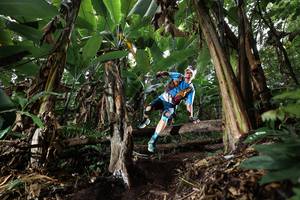 BIB: 
                            <button type="button" onclick="openModal(22420991)" class="btn btn-primary btn-sm float-right btn-popup" data-toggle="modal" data-target=".modal-high-quality">
                        <i class="fas fa-shopping-cart"></i> Add to Cart
                    </button>
                                            <button type="button" onclick="isThisMe(22420991, true)" class="btn btn-success btn-sm float-right btn-popup btn-isme hidden" data-toggle="tooltip" data-placement="bottom" title="นี่คือรูปของคุณใช่ไหม คลิกที่นี่เพื่อเอาเข้าอัลบั้ม">
                        <i class="fas fa-plus"></i> Add to album
                    </button>
                    <button type="button" onclick="isThisMe(22420991, false)" class="btn btn-warning btn-sm float-right btn-popup btn-isnotme hidden">
                        <i class="fas fa-ban"></i> Remove from album
                    </button>