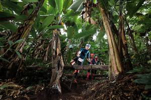 BIB: 
                            <button type="button" onclick="openModal(22417678)" class="btn btn-primary btn-sm float-right btn-popup" data-toggle="modal" data-target=".modal-high-quality">
                        <i class="fas fa-shopping-cart"></i> Add to Cart
                    </button>
                                            <button type="button" onclick="isThisMe(22417678, true)" class="btn btn-success btn-sm float-right btn-popup btn-isme hidden" data-toggle="tooltip" data-placement="bottom" title="นี่คือรูปของคุณใช่ไหม คลิกที่นี่เพื่อเอาเข้าอัลบั้ม">
                        <i class="fas fa-plus"></i> Add to album
                    </button>
                    <button type="button" onclick="isThisMe(22417678, false)" class="btn btn-warning btn-sm float-right btn-popup btn-isnotme hidden">
                        <i class="fas fa-ban"></i> Remove from album
                    </button>