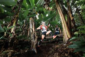 BIB: 
                            <button type="button" onclick="openModal(22419835)" class="btn btn-primary btn-sm float-right btn-popup" data-toggle="modal" data-target=".modal-high-quality">
                        <i class="fas fa-shopping-cart"></i> Add to Cart
                    </button>
                                            <button type="button" onclick="isThisMe(22419835, true)" class="btn btn-success btn-sm float-right btn-popup btn-isme hidden" data-toggle="tooltip" data-placement="bottom" title="นี่คือรูปของคุณใช่ไหม คลิกที่นี่เพื่อเอาเข้าอัลบั้ม">
                        <i class="fas fa-plus"></i> Add to album
                    </button>
                    <button type="button" onclick="isThisMe(22419835, false)" class="btn btn-warning btn-sm float-right btn-popup btn-isnotme hidden">
                        <i class="fas fa-ban"></i> Remove from album
                    </button>