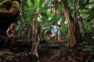 BIB: 
                            <button type="button" onclick="openModal(22416912)" class="btn btn-primary btn-sm float-right btn-popup" data-toggle="modal" data-target=".modal-high-quality">
                        <i class="fas fa-shopping-cart"></i> Add to Cart
                    </button>
                                            <button type="button" onclick="isThisMe(22416912, true)" class="btn btn-success btn-sm float-right btn-popup btn-isme hidden" data-toggle="tooltip" data-placement="bottom" title="นี่คือรูปของคุณใช่ไหม คลิกที่นี่เพื่อเอาเข้าอัลบั้ม">
                        <i class="fas fa-plus"></i> Add to album
                    </button>
                    <button type="button" onclick="isThisMe(22416912, false)" class="btn btn-warning btn-sm float-right btn-popup btn-isnotme hidden">
                        <i class="fas fa-ban"></i> Remove from album
                    </button>