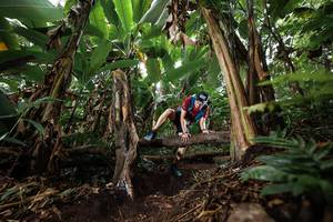 BIB: 
                            <button type="button" onclick="openModal(22398926)" class="btn btn-primary btn-sm float-right btn-popup" data-toggle="modal" data-target=".modal-high-quality">
                        <i class="fas fa-shopping-cart"></i> Add to Cart
                    </button>
                                            <button type="button" onclick="isThisMe(22398926, true)" class="btn btn-success btn-sm float-right btn-popup btn-isme hidden" data-toggle="tooltip" data-placement="bottom" title="นี่คือรูปของคุณใช่ไหม คลิกที่นี่เพื่อเอาเข้าอัลบั้ม">
                        <i class="fas fa-plus"></i> Add to album
                    </button>
                    <button type="button" onclick="isThisMe(22398926, false)" class="btn btn-warning btn-sm float-right btn-popup btn-isnotme hidden">
                        <i class="fas fa-ban"></i> Remove from album
                    </button>