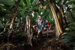 BIB: 
                            <button type="button" onclick="openModal(22419979)" class="btn btn-primary btn-sm float-right btn-popup" data-toggle="modal" data-target=".modal-high-quality">
                        <i class="fas fa-shopping-cart"></i> Add to Cart
                    </button>
                                            <button type="button" onclick="isThisMe(22419979, true)" class="btn btn-success btn-sm float-right btn-popup btn-isme hidden" data-toggle="tooltip" data-placement="bottom" title="นี่คือรูปของคุณใช่ไหม คลิกที่นี่เพื่อเอาเข้าอัลบั้ม">
                        <i class="fas fa-plus"></i> Add to album
                    </button>
                    <button type="button" onclick="isThisMe(22419979, false)" class="btn btn-warning btn-sm float-right btn-popup btn-isnotme hidden">
                        <i class="fas fa-ban"></i> Remove from album
                    </button>