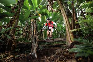 BIB: 
                            <button type="button" onclick="openModal(22397948)" class="btn btn-primary btn-sm float-right btn-popup" data-toggle="modal" data-target=".modal-high-quality">
                        <i class="fas fa-shopping-cart"></i> Add to Cart
                    </button>
                                            <button type="button" onclick="isThisMe(22397948, true)" class="btn btn-success btn-sm float-right btn-popup btn-isme hidden" data-toggle="tooltip" data-placement="bottom" title="นี่คือรูปของคุณใช่ไหม คลิกที่นี่เพื่อเอาเข้าอัลบั้ม">
                        <i class="fas fa-plus"></i> Add to album
                    </button>
                    <button type="button" onclick="isThisMe(22397948, false)" class="btn btn-warning btn-sm float-right btn-popup btn-isnotme hidden">
                        <i class="fas fa-ban"></i> Remove from album
                    </button>