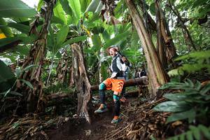 BIB: 
                            <button type="button" onclick="openModal(22415434)" class="btn btn-primary btn-sm float-right btn-popup" data-toggle="modal" data-target=".modal-high-quality">
                        <i class="fas fa-shopping-cart"></i> Add to Cart
                    </button>
                                            <button type="button" onclick="isThisMe(22415434, true)" class="btn btn-success btn-sm float-right btn-popup btn-isme hidden" data-toggle="tooltip" data-placement="bottom" title="นี่คือรูปของคุณใช่ไหม คลิกที่นี่เพื่อเอาเข้าอัลบั้ม">
                        <i class="fas fa-plus"></i> Add to album
                    </button>
                    <button type="button" onclick="isThisMe(22415434, false)" class="btn btn-warning btn-sm float-right btn-popup btn-isnotme hidden">
                        <i class="fas fa-ban"></i> Remove from album
                    </button>