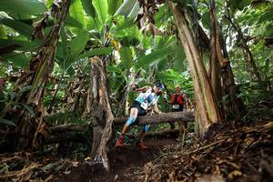 BIB: 
                            <button type="button" onclick="openModal(22392973)" class="btn btn-primary btn-sm float-right btn-popup" data-toggle="modal" data-target=".modal-high-quality">
                        <i class="fas fa-shopping-cart"></i> Add to Cart
                    </button>
                                            <button type="button" onclick="isThisMe(22392973, true)" class="btn btn-success btn-sm float-right btn-popup btn-isme hidden" data-toggle="tooltip" data-placement="bottom" title="นี่คือรูปของคุณใช่ไหม คลิกที่นี่เพื่อเอาเข้าอัลบั้ม">
                        <i class="fas fa-plus"></i> Add to album
                    </button>
                    <button type="button" onclick="isThisMe(22392973, false)" class="btn btn-warning btn-sm float-right btn-popup btn-isnotme hidden">
                        <i class="fas fa-ban"></i> Remove from album
                    </button>