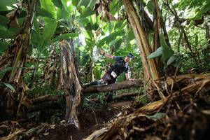 BIB: 
                            <button type="button" onclick="openModal(22392687)" class="btn btn-primary btn-sm float-right btn-popup" data-toggle="modal" data-target=".modal-high-quality">
                        <i class="fas fa-shopping-cart"></i> Add to Cart
                    </button>
                                            <button type="button" onclick="isThisMe(22392687, true)" class="btn btn-success btn-sm float-right btn-popup btn-isme hidden" data-toggle="tooltip" data-placement="bottom" title="นี่คือรูปของคุณใช่ไหม คลิกที่นี่เพื่อเอาเข้าอัลบั้ม">
                        <i class="fas fa-plus"></i> Add to album
                    </button>
                    <button type="button" onclick="isThisMe(22392687, false)" class="btn btn-warning btn-sm float-right btn-popup btn-isnotme hidden">
                        <i class="fas fa-ban"></i> Remove from album
                    </button>