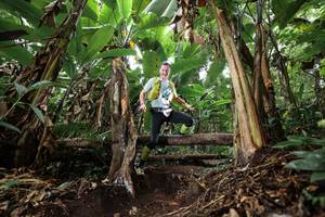 BIB: 
                            <button type="button" onclick="openModal(22416044)" class="btn btn-primary btn-sm float-right btn-popup" data-toggle="modal" data-target=".modal-high-quality">
                        <i class="fas fa-shopping-cart"></i> Add to Cart
                    </button>
                                            <button type="button" onclick="isThisMe(22416044, true)" class="btn btn-success btn-sm float-right btn-popup btn-isme hidden" data-toggle="tooltip" data-placement="bottom" title="นี่คือรูปของคุณใช่ไหม คลิกที่นี่เพื่อเอาเข้าอัลบั้ม">
                        <i class="fas fa-plus"></i> Add to album
                    </button>
                    <button type="button" onclick="isThisMe(22416044, false)" class="btn btn-warning btn-sm float-right btn-popup btn-isnotme hidden">
                        <i class="fas fa-ban"></i> Remove from album
                    </button>