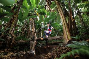 BIB: 
                            <button type="button" onclick="openModal(22393218)" class="btn btn-primary btn-sm float-right btn-popup" data-toggle="modal" data-target=".modal-high-quality">
                        <i class="fas fa-shopping-cart"></i> Add to Cart
                    </button>
                                            <button type="button" onclick="isThisMe(22393218, true)" class="btn btn-success btn-sm float-right btn-popup btn-isme hidden" data-toggle="tooltip" data-placement="bottom" title="นี่คือรูปของคุณใช่ไหม คลิกที่นี่เพื่อเอาเข้าอัลบั้ม">
                        <i class="fas fa-plus"></i> Add to album
                    </button>
                    <button type="button" onclick="isThisMe(22393218, false)" class="btn btn-warning btn-sm float-right btn-popup btn-isnotme hidden">
                        <i class="fas fa-ban"></i> Remove from album
                    </button>