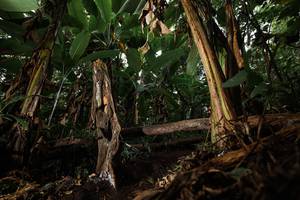 BIB: 
                            <button type="button" onclick="openModal(22392572)" class="btn btn-primary btn-sm float-right btn-popup" data-toggle="modal" data-target=".modal-high-quality">
                        <i class="fas fa-shopping-cart"></i> Add to Cart
                    </button>
                                            <button type="button" onclick="isThisMe(22392572, true)" class="btn btn-success btn-sm float-right btn-popup btn-isme hidden" data-toggle="tooltip" data-placement="bottom" title="นี่คือรูปของคุณใช่ไหม คลิกที่นี่เพื่อเอาเข้าอัลบั้ม">
                        <i class="fas fa-plus"></i> Add to album
                    </button>
                    <button type="button" onclick="isThisMe(22392572, false)" class="btn btn-warning btn-sm float-right btn-popup btn-isnotme hidden">
                        <i class="fas fa-ban"></i> Remove from album
                    </button>