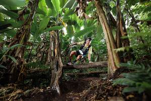 BIB: 
                            <button type="button" onclick="openModal(22398467)" class="btn btn-primary btn-sm float-right btn-popup" data-toggle="modal" data-target=".modal-high-quality">
                        <i class="fas fa-shopping-cart"></i> Add to Cart
                    </button>
                                            <button type="button" onclick="isThisMe(22398467, true)" class="btn btn-success btn-sm float-right btn-popup btn-isme hidden" data-toggle="tooltip" data-placement="bottom" title="นี่คือรูปของคุณใช่ไหม คลิกที่นี่เพื่อเอาเข้าอัลบั้ม">
                        <i class="fas fa-plus"></i> Add to album
                    </button>
                    <button type="button" onclick="isThisMe(22398467, false)" class="btn btn-warning btn-sm float-right btn-popup btn-isnotme hidden">
                        <i class="fas fa-ban"></i> Remove from album
                    </button>