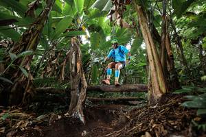 BIB: 
                            <button type="button" onclick="openModal(22416099)" class="btn btn-primary btn-sm float-right btn-popup" data-toggle="modal" data-target=".modal-high-quality">
                        <i class="fas fa-shopping-cart"></i> Add to Cart
                    </button>
                                            <button type="button" onclick="isThisMe(22416099, true)" class="btn btn-success btn-sm float-right btn-popup btn-isme hidden" data-toggle="tooltip" data-placement="bottom" title="นี่คือรูปของคุณใช่ไหม คลิกที่นี่เพื่อเอาเข้าอัลบั้ม">
                        <i class="fas fa-plus"></i> Add to album
                    </button>
                    <button type="button" onclick="isThisMe(22416099, false)" class="btn btn-warning btn-sm float-right btn-popup btn-isnotme hidden">
                        <i class="fas fa-ban"></i> Remove from album
                    </button>