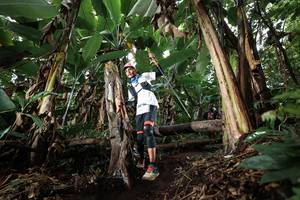 BIB: 
                            <button type="button" onclick="openModal(22419728)" class="btn btn-primary btn-sm float-right btn-popup" data-toggle="modal" data-target=".modal-high-quality">
                        <i class="fas fa-shopping-cart"></i> Add to Cart
                    </button>
                                            <button type="button" onclick="isThisMe(22419728, true)" class="btn btn-success btn-sm float-right btn-popup btn-isme hidden" data-toggle="tooltip" data-placement="bottom" title="นี่คือรูปของคุณใช่ไหม คลิกที่นี่เพื่อเอาเข้าอัลบั้ม">
                        <i class="fas fa-plus"></i> Add to album
                    </button>
                    <button type="button" onclick="isThisMe(22419728, false)" class="btn btn-warning btn-sm float-right btn-popup btn-isnotme hidden">
                        <i class="fas fa-ban"></i> Remove from album
                    </button>