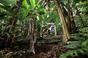 BIB: 
                            <button type="button" onclick="openModal(22393407)" class="btn btn-primary btn-sm float-right btn-popup" data-toggle="modal" data-target=".modal-high-quality">
                        <i class="fas fa-shopping-cart"></i> Add to Cart
                    </button>
                                            <button type="button" onclick="isThisMe(22393407, true)" class="btn btn-success btn-sm float-right btn-popup btn-isme hidden" data-toggle="tooltip" data-placement="bottom" title="นี่คือรูปของคุณใช่ไหม คลิกที่นี่เพื่อเอาเข้าอัลบั้ม">
                        <i class="fas fa-plus"></i> Add to album
                    </button>
                    <button type="button" onclick="isThisMe(22393407, false)" class="btn btn-warning btn-sm float-right btn-popup btn-isnotme hidden">
                        <i class="fas fa-ban"></i> Remove from album
                    </button>