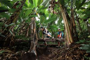 BIB: 
                            <button type="button" onclick="openModal(22416362)" class="btn btn-primary btn-sm float-right btn-popup" data-toggle="modal" data-target=".modal-high-quality">
                        <i class="fas fa-shopping-cart"></i> Add to Cart
                    </button>
                                            <button type="button" onclick="isThisMe(22416362, true)" class="btn btn-success btn-sm float-right btn-popup btn-isme hidden" data-toggle="tooltip" data-placement="bottom" title="นี่คือรูปของคุณใช่ไหม คลิกที่นี่เพื่อเอาเข้าอัลบั้ม">
                        <i class="fas fa-plus"></i> Add to album
                    </button>
                    <button type="button" onclick="isThisMe(22416362, false)" class="btn btn-warning btn-sm float-right btn-popup btn-isnotme hidden">
                        <i class="fas fa-ban"></i> Remove from album
                    </button>