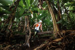 BIB: 
                            <button type="button" onclick="openModal(22392815)" class="btn btn-primary btn-sm float-right btn-popup" data-toggle="modal" data-target=".modal-high-quality">
                        <i class="fas fa-shopping-cart"></i> Add to Cart
                    </button>
                                            <button type="button" onclick="isThisMe(22392815, true)" class="btn btn-success btn-sm float-right btn-popup btn-isme hidden" data-toggle="tooltip" data-placement="bottom" title="นี่คือรูปของคุณใช่ไหม คลิกที่นี่เพื่อเอาเข้าอัลบั้ม">
                        <i class="fas fa-plus"></i> Add to album
                    </button>
                    <button type="button" onclick="isThisMe(22392815, false)" class="btn btn-warning btn-sm float-right btn-popup btn-isnotme hidden">
                        <i class="fas fa-ban"></i> Remove from album
                    </button>