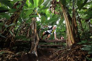 BIB: 
                            <button type="button" onclick="openModal(22416490)" class="btn btn-primary btn-sm float-right btn-popup" data-toggle="modal" data-target=".modal-high-quality">
                        <i class="fas fa-shopping-cart"></i> Add to Cart
                    </button>
                                            <button type="button" onclick="isThisMe(22416490, true)" class="btn btn-success btn-sm float-right btn-popup btn-isme hidden" data-toggle="tooltip" data-placement="bottom" title="นี่คือรูปของคุณใช่ไหม คลิกที่นี่เพื่อเอาเข้าอัลบั้ม">
                        <i class="fas fa-plus"></i> Add to album
                    </button>
                    <button type="button" onclick="isThisMe(22416490, false)" class="btn btn-warning btn-sm float-right btn-popup btn-isnotme hidden">
                        <i class="fas fa-ban"></i> Remove from album
                    </button>