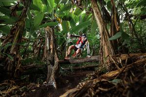 BIB: 
                            <button type="button" onclick="openModal(22392331)" class="btn btn-primary btn-sm float-right btn-popup" data-toggle="modal" data-target=".modal-high-quality">
                        <i class="fas fa-shopping-cart"></i> Add to Cart
                    </button>
                                            <button type="button" onclick="isThisMe(22392331, true)" class="btn btn-success btn-sm float-right btn-popup btn-isme hidden" data-toggle="tooltip" data-placement="bottom" title="นี่คือรูปของคุณใช่ไหม คลิกที่นี่เพื่อเอาเข้าอัลบั้ม">
                        <i class="fas fa-plus"></i> Add to album
                    </button>
                    <button type="button" onclick="isThisMe(22392331, false)" class="btn btn-warning btn-sm float-right btn-popup btn-isnotme hidden">
                        <i class="fas fa-ban"></i> Remove from album
                    </button>