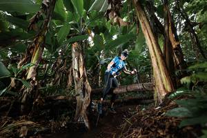 BIB: 
                            <button type="button" onclick="openModal(22419411)" class="btn btn-primary btn-sm float-right btn-popup" data-toggle="modal" data-target=".modal-high-quality">
                        <i class="fas fa-shopping-cart"></i> Add to Cart
                    </button>
                                            <button type="button" onclick="isThisMe(22419411, true)" class="btn btn-success btn-sm float-right btn-popup btn-isme hidden" data-toggle="tooltip" data-placement="bottom" title="นี่คือรูปของคุณใช่ไหม คลิกที่นี่เพื่อเอาเข้าอัลบั้ม">
                        <i class="fas fa-plus"></i> Add to album
                    </button>
                    <button type="button" onclick="isThisMe(22419411, false)" class="btn btn-warning btn-sm float-right btn-popup btn-isnotme hidden">
                        <i class="fas fa-ban"></i> Remove from album
                    </button>