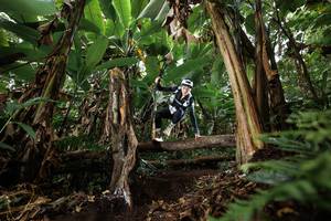 BIB: 
                            <button type="button" onclick="openModal(22393694)" class="btn btn-primary btn-sm float-right btn-popup" data-toggle="modal" data-target=".modal-high-quality">
                        <i class="fas fa-shopping-cart"></i> Add to Cart
                    </button>
                                            <button type="button" onclick="isThisMe(22393694, true)" class="btn btn-success btn-sm float-right btn-popup btn-isme hidden" data-toggle="tooltip" data-placement="bottom" title="นี่คือรูปของคุณใช่ไหม คลิกที่นี่เพื่อเอาเข้าอัลบั้ม">
                        <i class="fas fa-plus"></i> Add to album
                    </button>
                    <button type="button" onclick="isThisMe(22393694, false)" class="btn btn-warning btn-sm float-right btn-popup btn-isnotme hidden">
                        <i class="fas fa-ban"></i> Remove from album
                    </button>