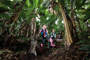 BIB: 
                            <button type="button" onclick="openModal(22417745)" class="btn btn-primary btn-sm float-right btn-popup" data-toggle="modal" data-target=".modal-high-quality">
                        <i class="fas fa-shopping-cart"></i> Add to Cart
                    </button>
                                            <button type="button" onclick="isThisMe(22417745, true)" class="btn btn-success btn-sm float-right btn-popup btn-isme hidden" data-toggle="tooltip" data-placement="bottom" title="นี่คือรูปของคุณใช่ไหม คลิกที่นี่เพื่อเอาเข้าอัลบั้ม">
                        <i class="fas fa-plus"></i> Add to album
                    </button>
                    <button type="button" onclick="isThisMe(22417745, false)" class="btn btn-warning btn-sm float-right btn-popup btn-isnotme hidden">
                        <i class="fas fa-ban"></i> Remove from album
                    </button>