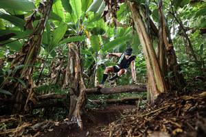 BIB: 
                            <button type="button" onclick="openModal(22392908)" class="btn btn-primary btn-sm float-right btn-popup" data-toggle="modal" data-target=".modal-high-quality">
                        <i class="fas fa-shopping-cart"></i> Add to Cart
                    </button>
                                            <button type="button" onclick="isThisMe(22392908, true)" class="btn btn-success btn-sm float-right btn-popup btn-isme hidden" data-toggle="tooltip" data-placement="bottom" title="นี่คือรูปของคุณใช่ไหม คลิกที่นี่เพื่อเอาเข้าอัลบั้ม">
                        <i class="fas fa-plus"></i> Add to album
                    </button>
                    <button type="button" onclick="isThisMe(22392908, false)" class="btn btn-warning btn-sm float-right btn-popup btn-isnotme hidden">
                        <i class="fas fa-ban"></i> Remove from album
                    </button>