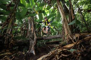 BIB: 
                            <button type="button" onclick="openModal(22387435)" class="btn btn-primary btn-sm float-right btn-popup" data-toggle="modal" data-target=".modal-high-quality">
                        <i class="fas fa-shopping-cart"></i> Add to Cart
                    </button>
                                            <button type="button" onclick="isThisMe(22387435, true)" class="btn btn-success btn-sm float-right btn-popup btn-isme hidden" data-toggle="tooltip" data-placement="bottom" title="นี่คือรูปของคุณใช่ไหม คลิกที่นี่เพื่อเอาเข้าอัลบั้ม">
                        <i class="fas fa-plus"></i> Add to album
                    </button>
                    <button type="button" onclick="isThisMe(22387435, false)" class="btn btn-warning btn-sm float-right btn-popup btn-isnotme hidden">
                        <i class="fas fa-ban"></i> Remove from album
                    </button>