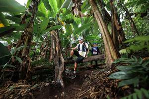 BIB: 
                            <button type="button" onclick="openModal(22415876)" class="btn btn-primary btn-sm float-right btn-popup" data-toggle="modal" data-target=".modal-high-quality">
                        <i class="fas fa-shopping-cart"></i> Add to Cart
                    </button>
                                            <button type="button" onclick="isThisMe(22415876, true)" class="btn btn-success btn-sm float-right btn-popup btn-isme hidden" data-toggle="tooltip" data-placement="bottom" title="นี่คือรูปของคุณใช่ไหม คลิกที่นี่เพื่อเอาเข้าอัลบั้ม">
                        <i class="fas fa-plus"></i> Add to album
                    </button>
                    <button type="button" onclick="isThisMe(22415876, false)" class="btn btn-warning btn-sm float-right btn-popup btn-isnotme hidden">
                        <i class="fas fa-ban"></i> Remove from album
                    </button>