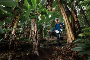 BIB: 2003
                            <button type="button" onclick="openModal(22419031)" class="btn btn-primary btn-sm float-right btn-popup" data-toggle="modal" data-target=".modal-high-quality">
                        <i class="fas fa-shopping-cart"></i> Add to Cart
                    </button>
                                            <button type="button" onclick="isThisMe(22419031, true)" class="btn btn-success btn-sm float-right btn-popup btn-isme hidden" data-toggle="tooltip" data-placement="bottom" title="นี่คือรูปของคุณใช่ไหม คลิกที่นี่เพื่อเอาเข้าอัลบั้ม">
                        <i class="fas fa-plus"></i> Add to album
                    </button>
                    <button type="button" onclick="isThisMe(22419031, false)" class="btn btn-warning btn-sm float-right btn-popup btn-isnotme hidden">
                        <i class="fas fa-ban"></i> Remove from album
                    </button>